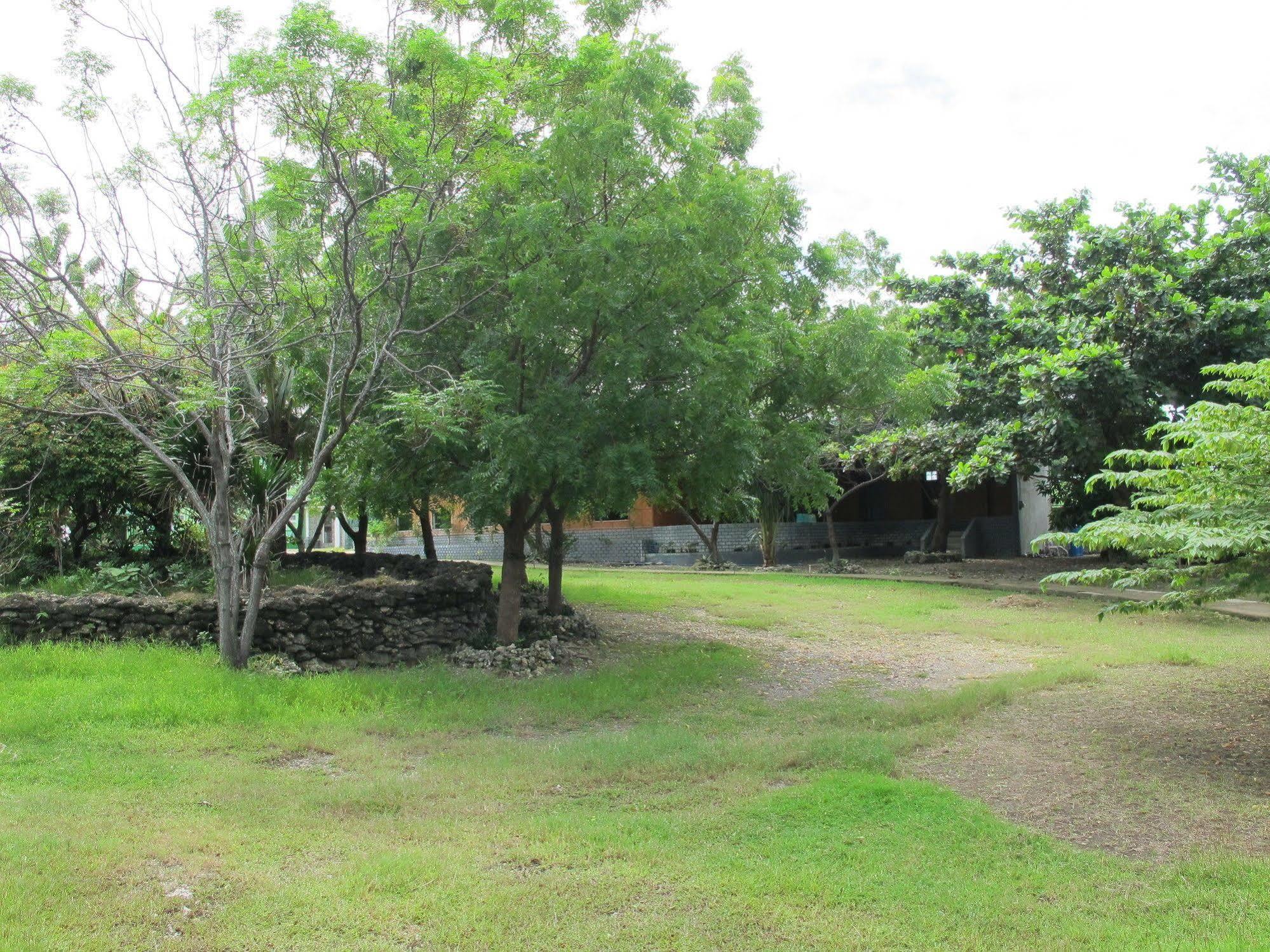 Green One Hotel Île de Mactan Extérieur photo